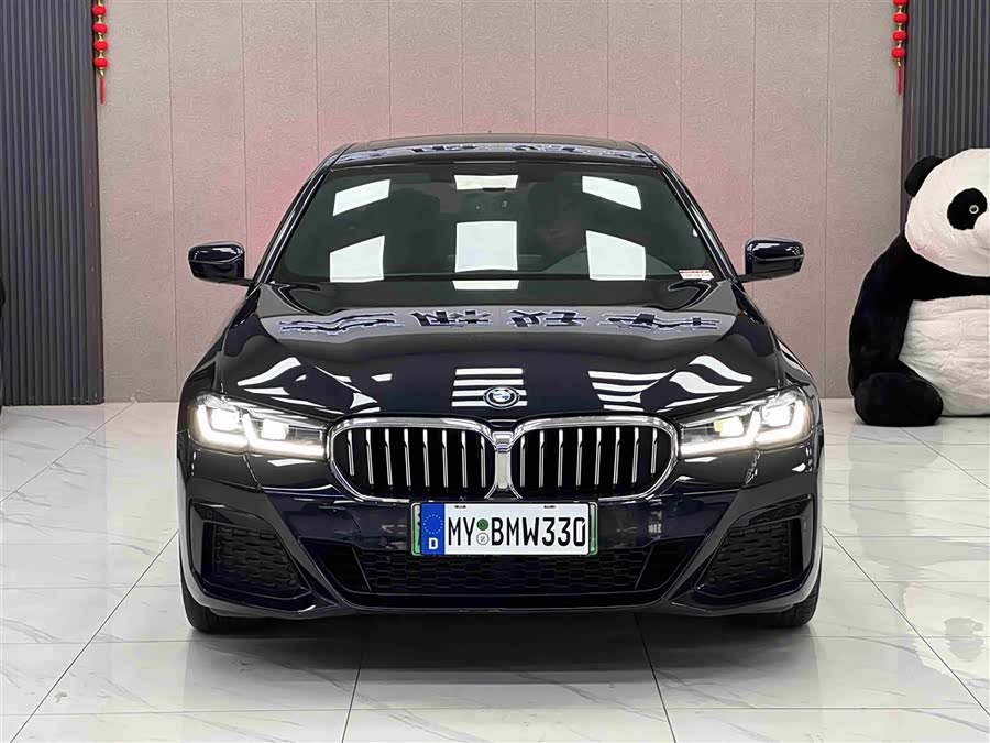 BMW 5 Series New Energy 2022