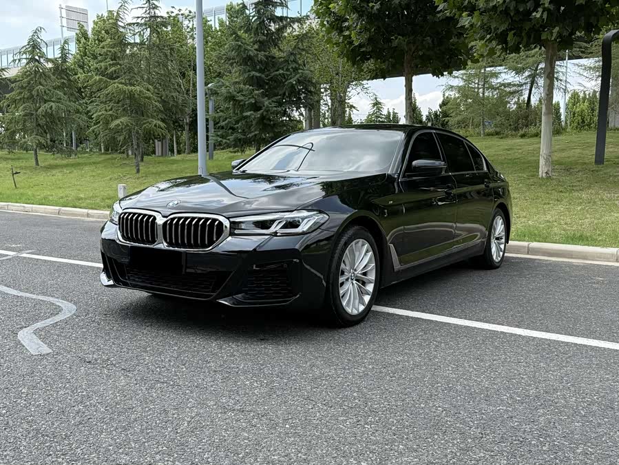 BMW 5 Series 2019