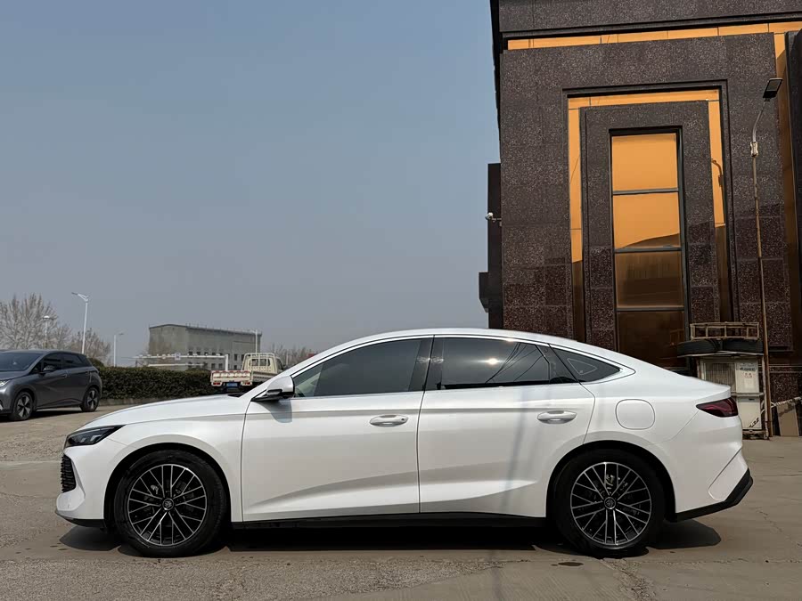BYD Qin L 2024