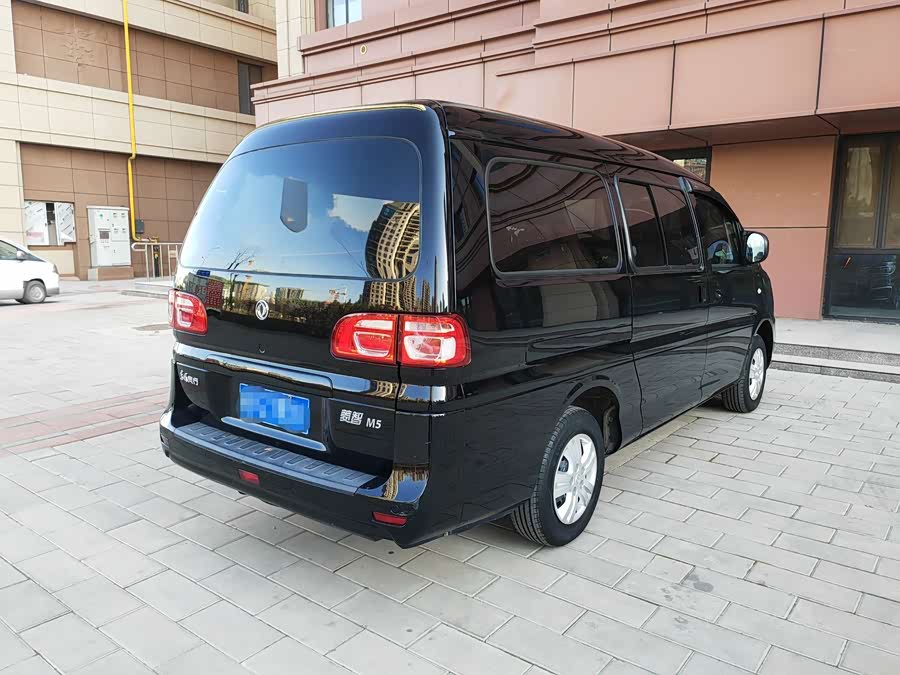 Dongfeng Lingzhi 2020