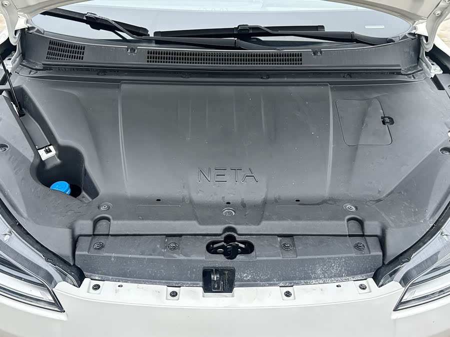 Neta V 2022