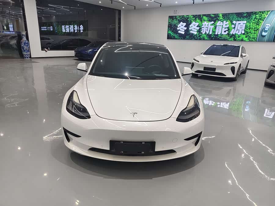 Tesla Model 3 2021