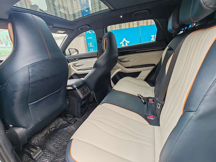 BYD Song PLUS New Energy 2021