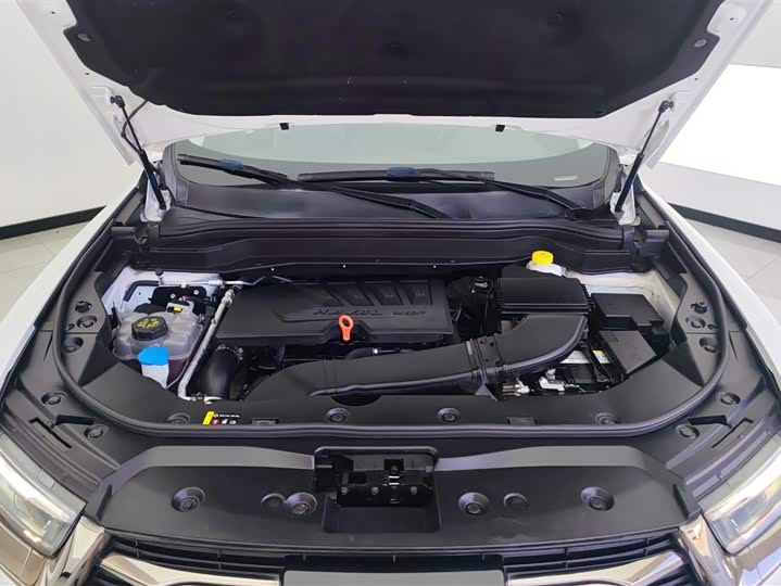 Haval H6 2021 — фото 10