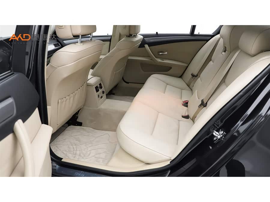 BMW 5 Series 2009
