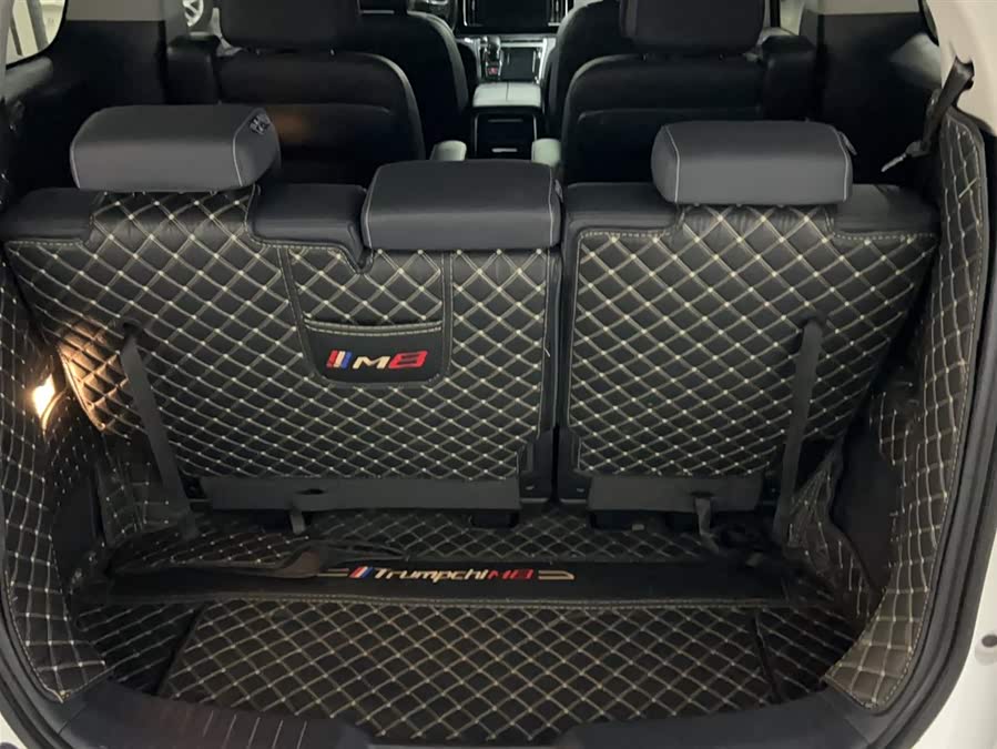 GAC Trumpchi M8 2023 — фото 16