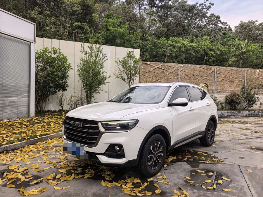 Haval H6 2021