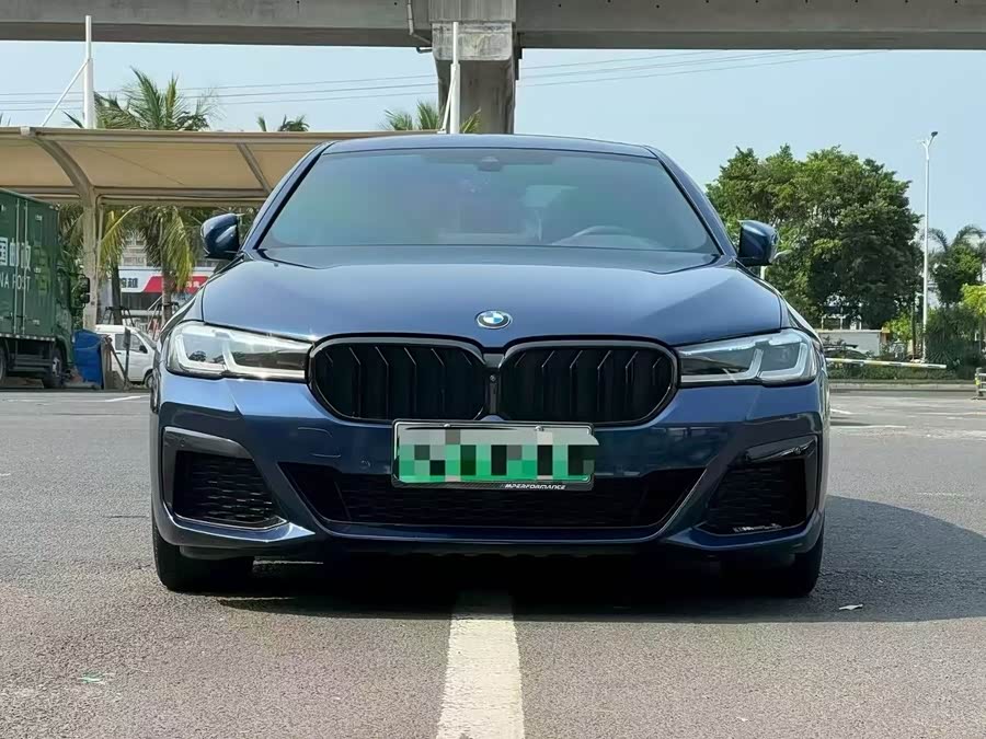 BMW 5 Series New Energy 2021