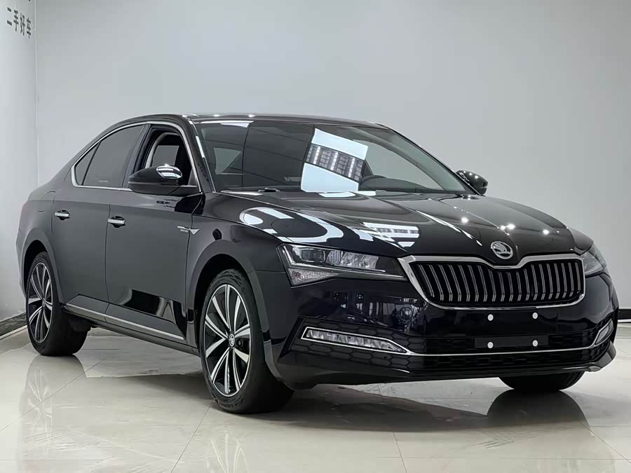 Skoda Speedy 2024