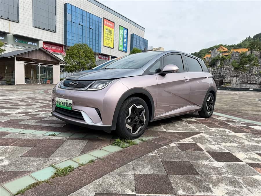 BYD Dolphin 2021