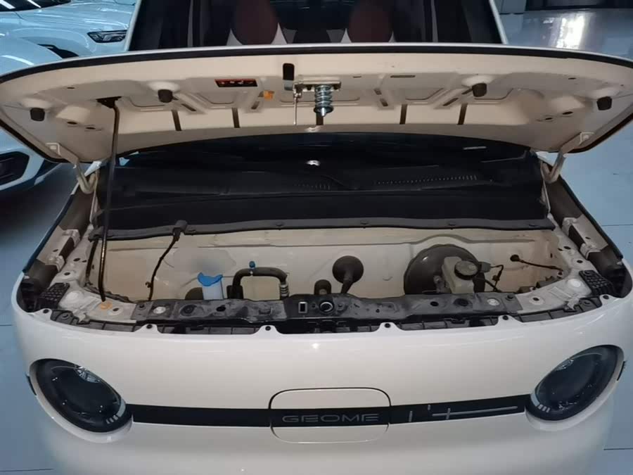 Geely Galaxy Panda 2025 — фото 20