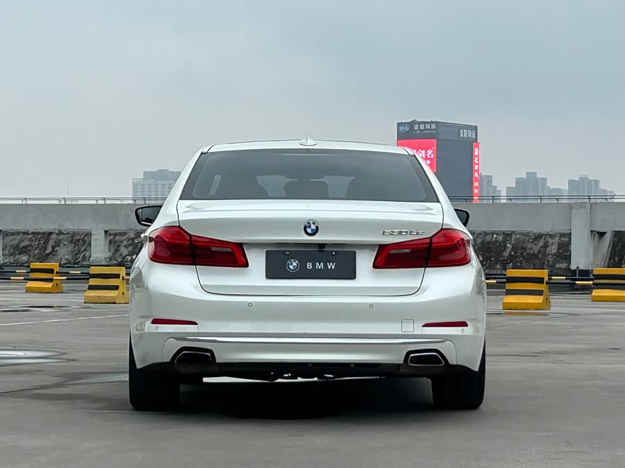 BMW 5 Series New Energy 2019