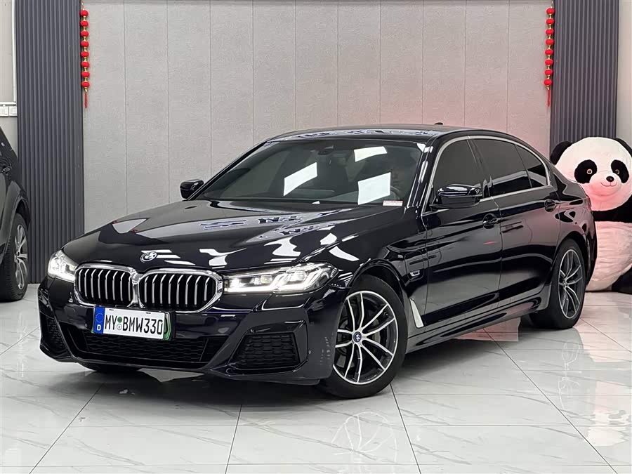 BMW 5 Series New Energy 2022