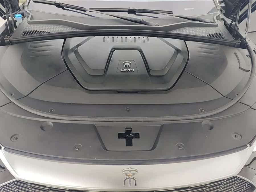 BYD Song PLUS New Energy 2021 — фото 10