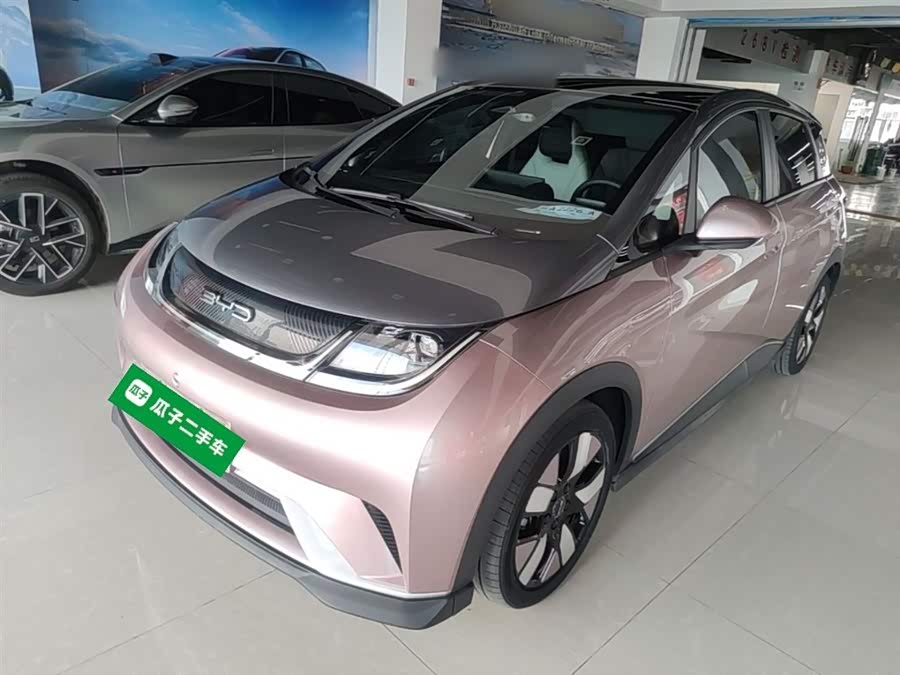 BYD Dolphin 2021