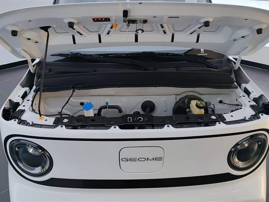 Geely Galaxy Panda 2025 — фото 10