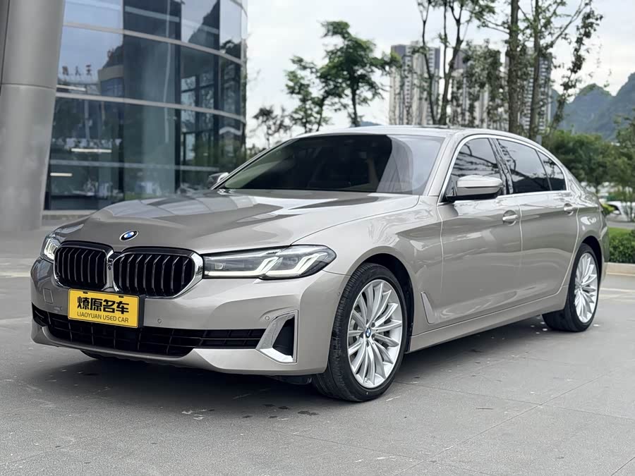 BMW 5 Series 2021