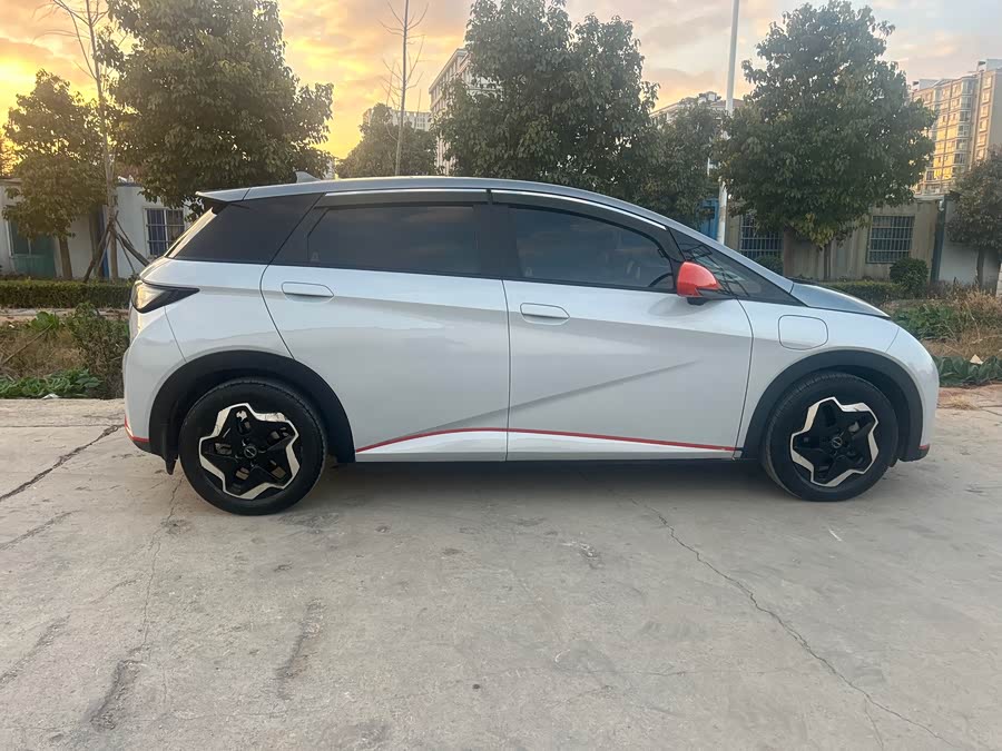 BYD Dolphin 2021