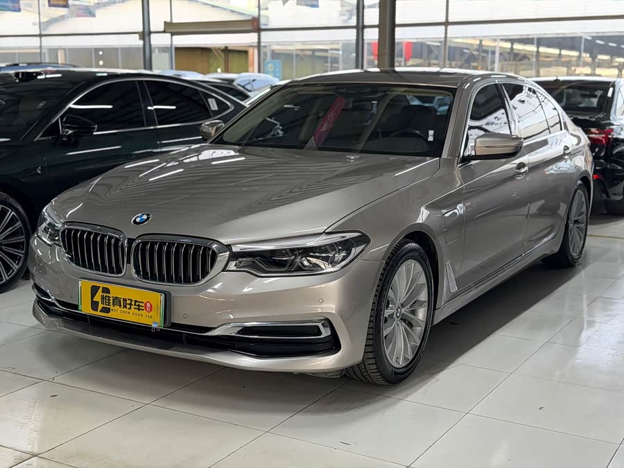 BMW 5 Series New Energy 2020