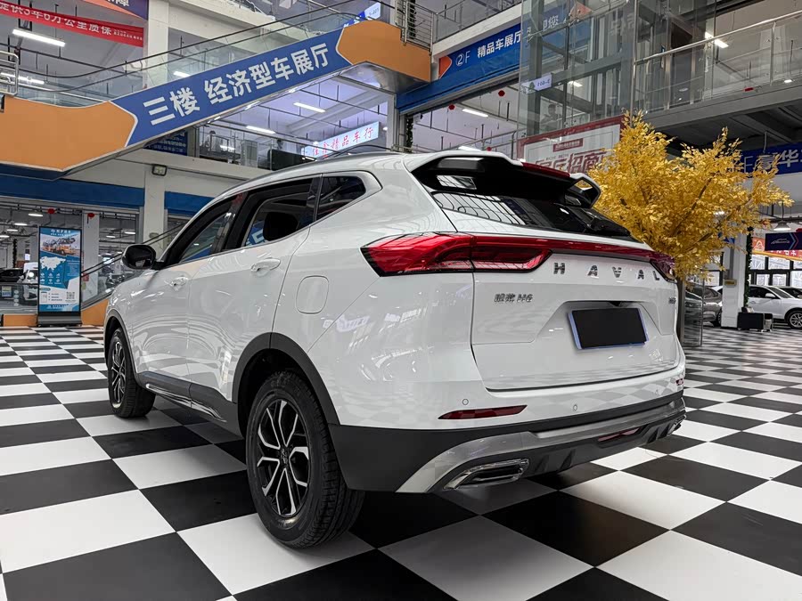 Haval H6 2021 — фото 18