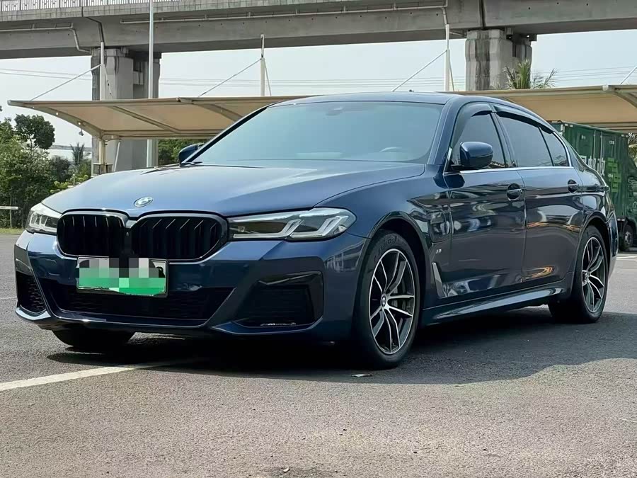 BMW 5 Series New Energy 2021