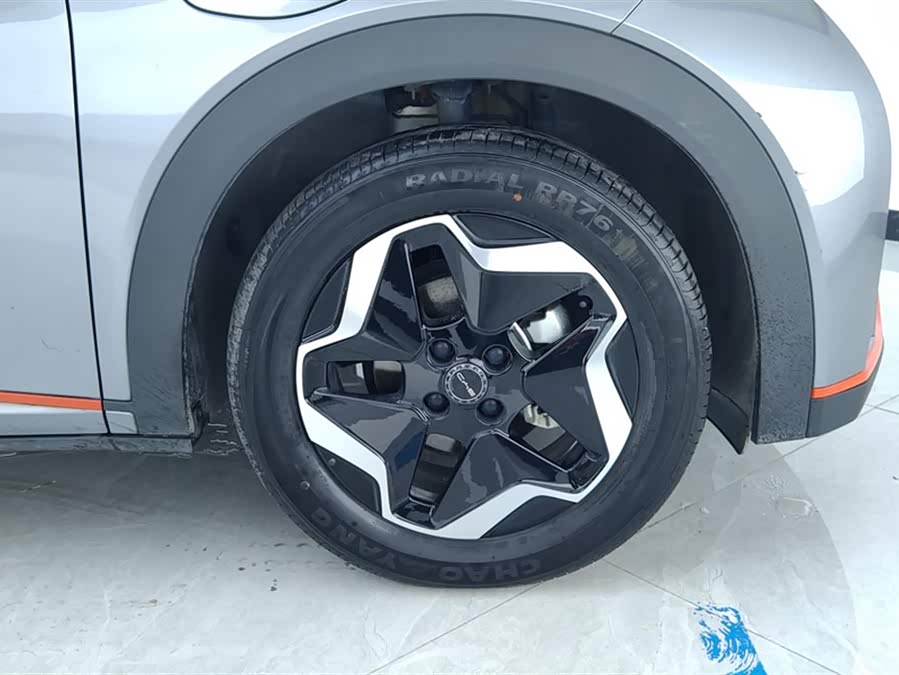 BYD Dolphin 2021