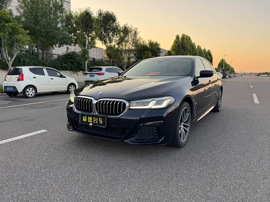 BMW 5 Series 2021