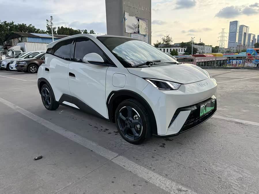 BYD Seagull 2024