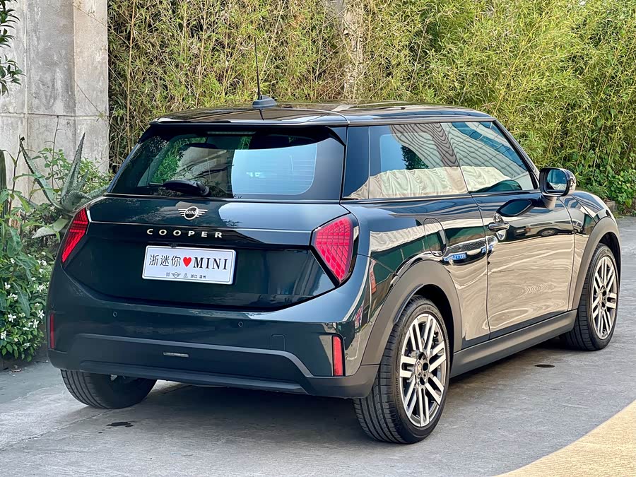 MINI MINI 2025