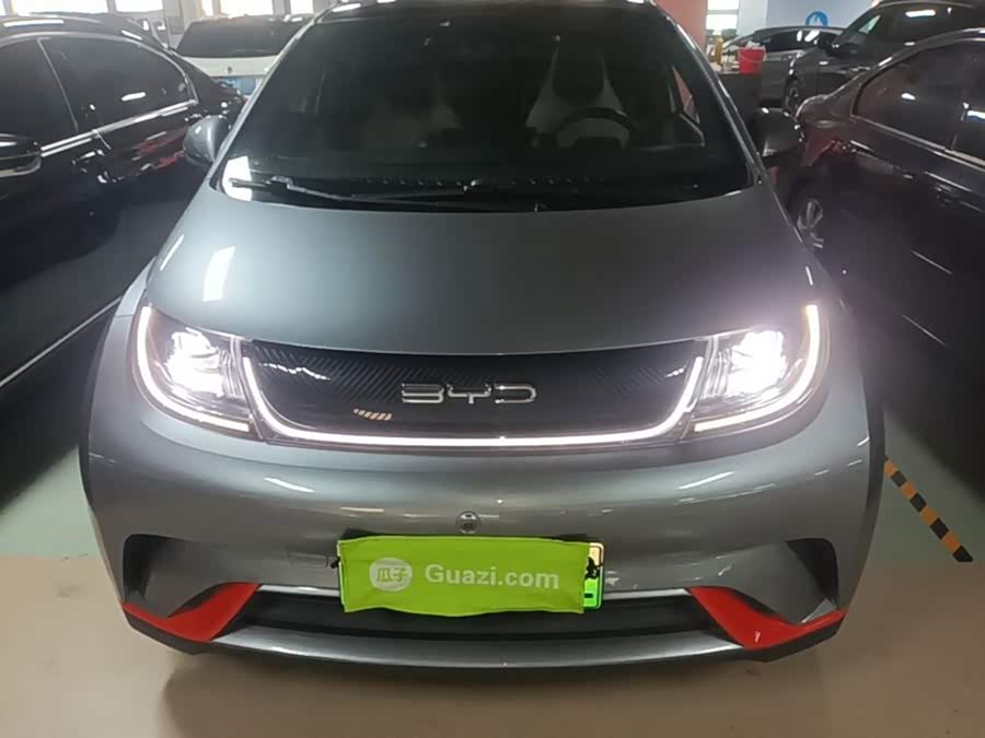 BYD Dolphin 2021