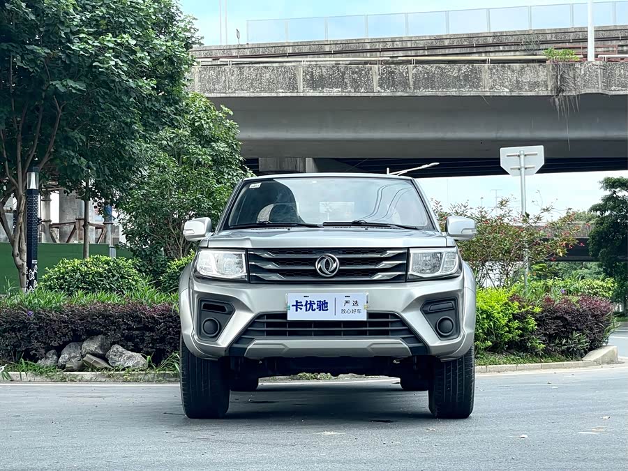 Dongfeng Ruiqi 2021
