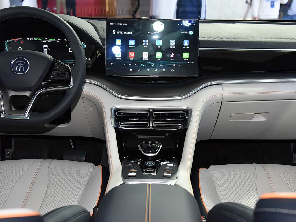 BYD Song PLUS New Energy 2025 — фото 119