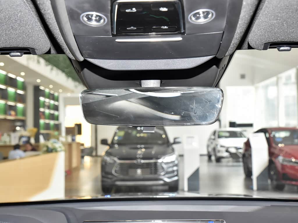 BYD Song PLUS New Energy 2025 — фото 192