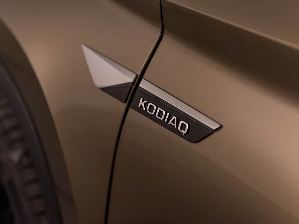 Skoda Kodiaq 2025 — фото 203
