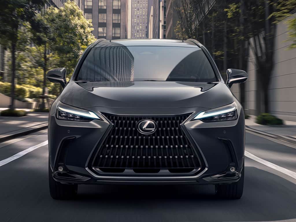Lexus NX New Energy 2025 — Официальные фото, фото 15
