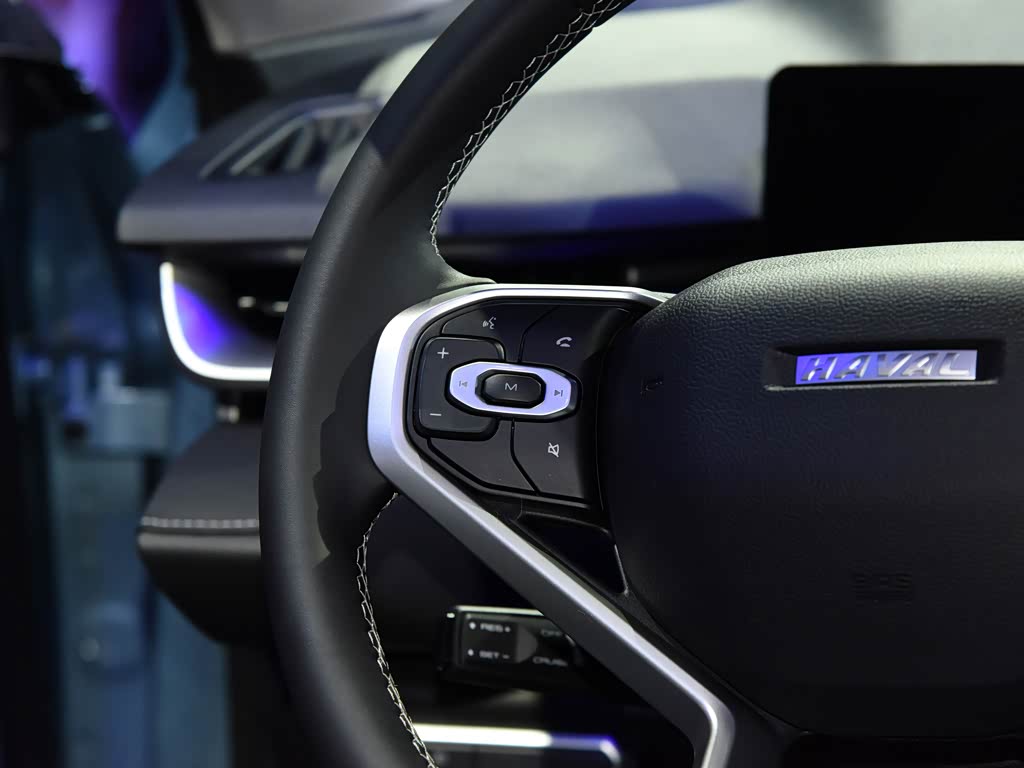 Haval H6 New Energy 2023 — фото 104