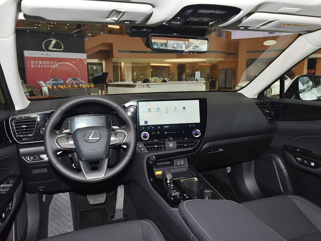 Lexus NX New Energy 2025 — Салон, фото 16