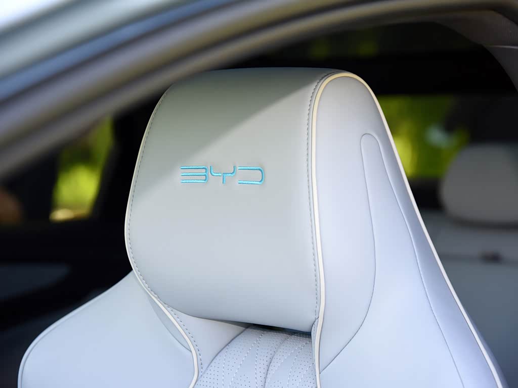 BYD Seal 2025 — фото 172