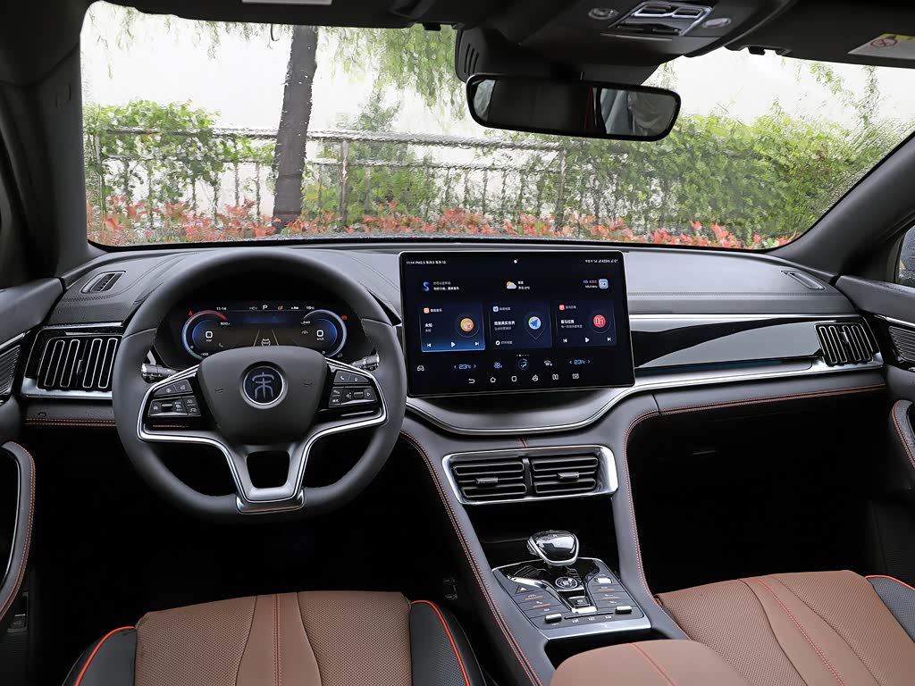 BYD Song PLUS New Energy 2025 — фото 150