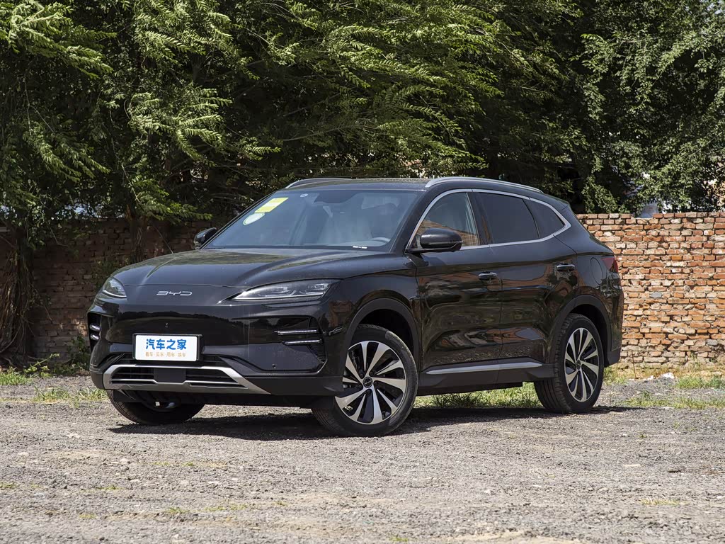 BYD Song PLUS New Energy 2025 — фото 88
