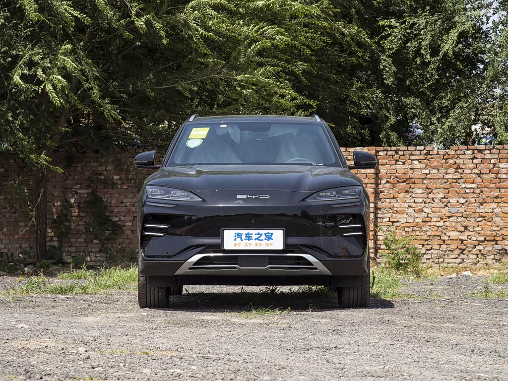 BYD Song PLUS New Energy 2025 — фото 87