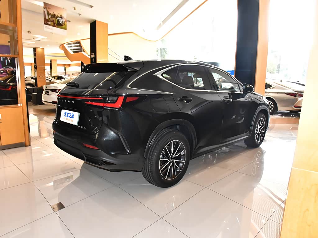 Lexus NX New Energy 2025 — Внешний вид, фото 34