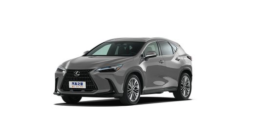 Lexus NX New Energy 2025 — круговой обзор