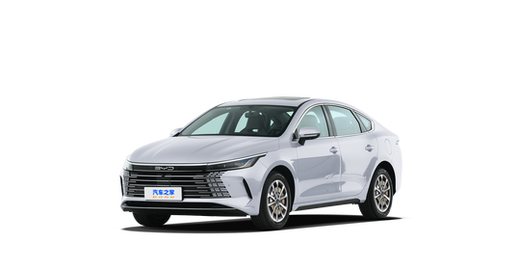 BYD Destroyer 05 2024 — круговой обзор